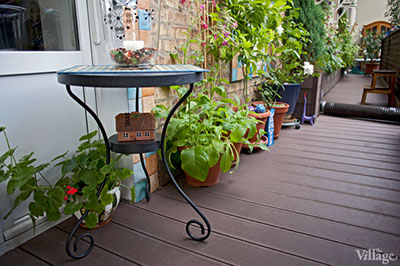 От Village: выращивание мелиссы на балконе