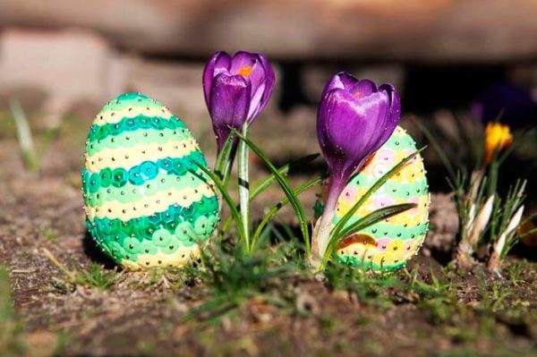Какие цветы подходят для украшения дома на Пасху